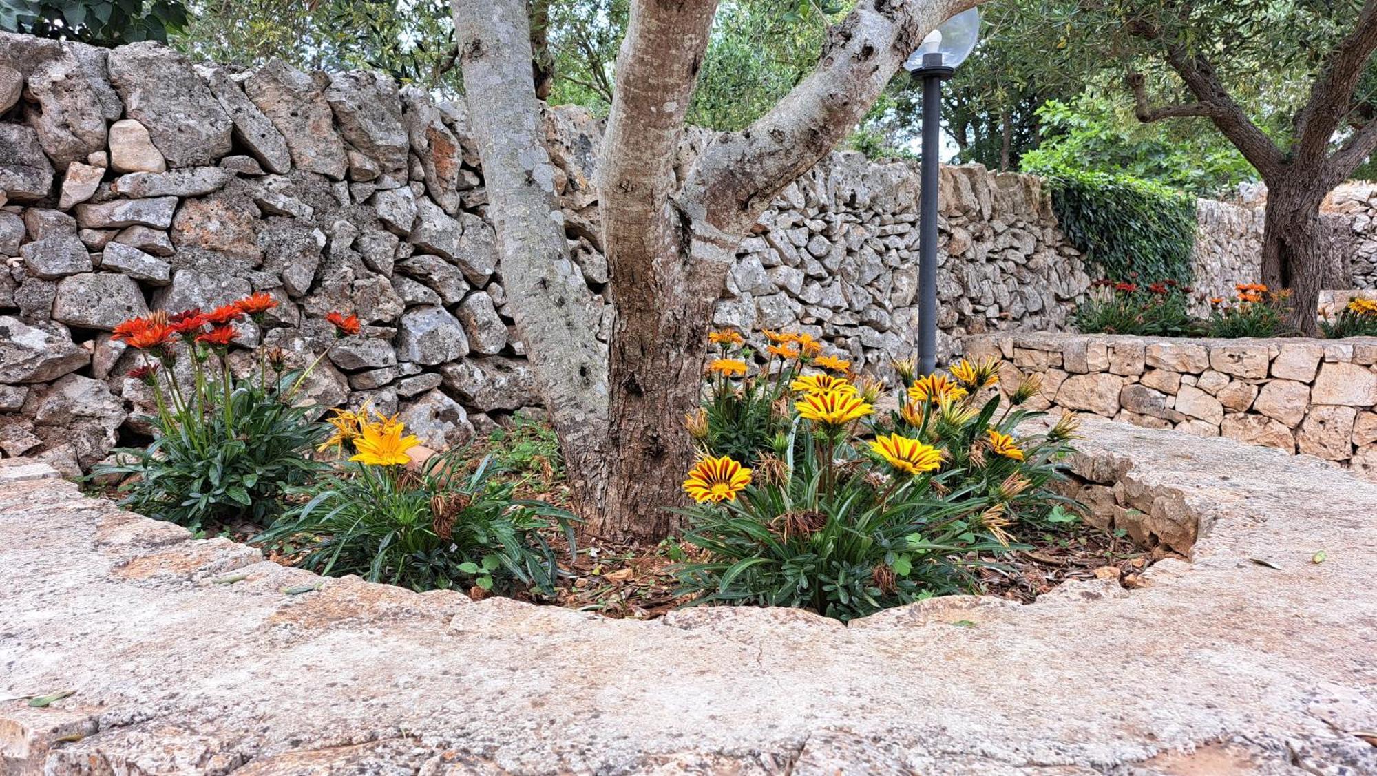 Casolare Di Puglia Villa Noci Ngoại thất bức ảnh